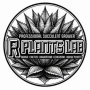 R PLANTS LABの画像