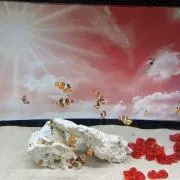 kan.断捨離続行中の画像