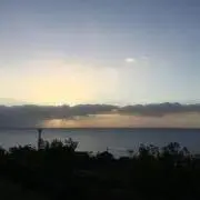 RCALの画像