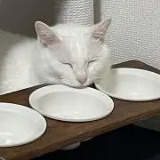 ほまれ