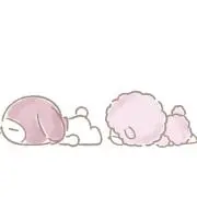 みいちゃんの画像