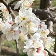 なおママの画像