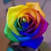 プロフ一読お願いします　メルメル