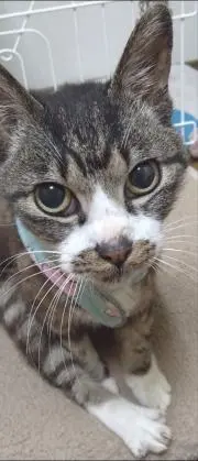 熊ちゃん2835