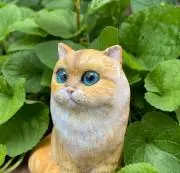 ほるあろあの画像