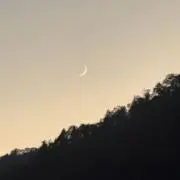 まーの画像