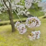 高松