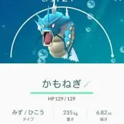 りんさい