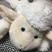 yk59の画像