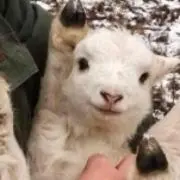 ういの画像