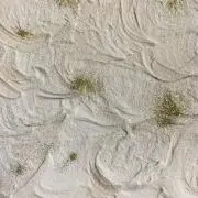 2000の画像