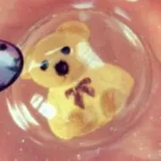 tamaの画像