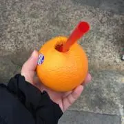 おもちの画像