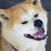 うたまろ