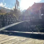 ウェイちんの画像