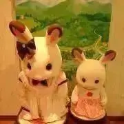 ぱぱんだ☆の画像