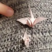 Aの画像