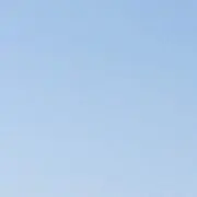 ウラキ
