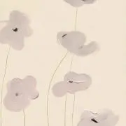 ぽたの画像