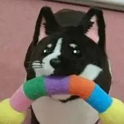 ジョルノクターン