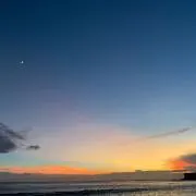 すけまるの画像