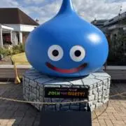 のりぎりの画像