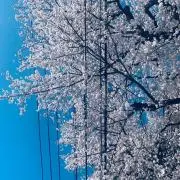 りお　売り切りたい。の画像