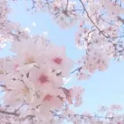 Mの画像