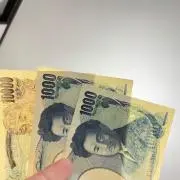 タヌキ