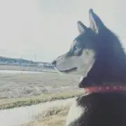 まめ