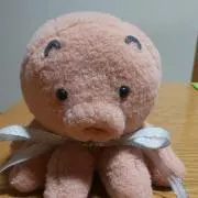 たここの画像
