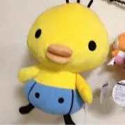 ゆんの画像