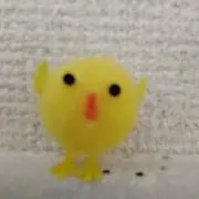 つーちゃんの画像