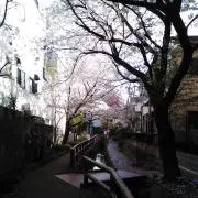 ちぃ★断捨離中の画像