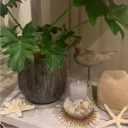 Karenの画像