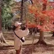 おはつの画像