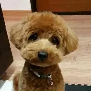 ビビアン