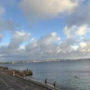 よーぽんの画像