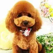 ⭐️㊗️プロフ必読⭐️即日発送㊙️⭐️の画像