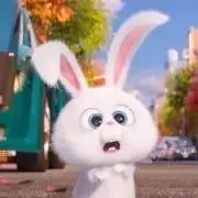 K︎＊プロフ一読お願いします＊の画像