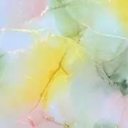 あみの画像