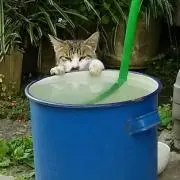 しーちゃん