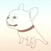 dodiciの画像