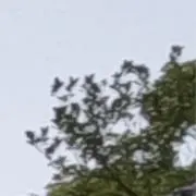 サムハンの画像