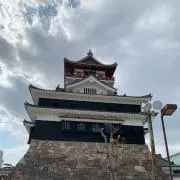 山葵の画像