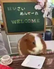 のっちの画像