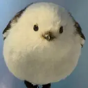 きょん✿ 24時間以内発送✿即購入OKの画像
