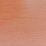 りぼんの画像