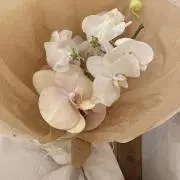 ‎( ˙º̬˙ )و ̑̑の画像