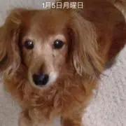 メイ